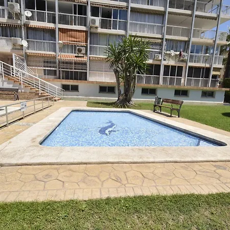 Albatros - Arena Benidorm