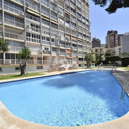 Albatros - Arena Benidorm